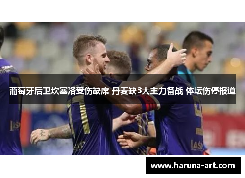 葡萄牙后卫坎塞洛受伤缺席 丹麦缺3大主力备战 体坛伤停报道